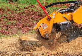 Best Hazardous Tree Removal  in Andrews, NC