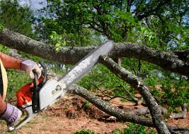 Best Lawn Grading and Leveling  in Andrews, NC